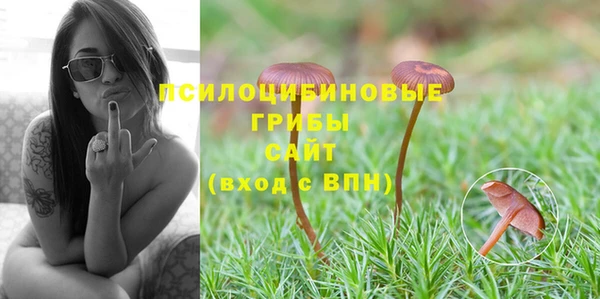 индика Алзамай